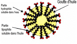 http://s3.e-monsite.com/2011/03/15/03/MOLECULE.png